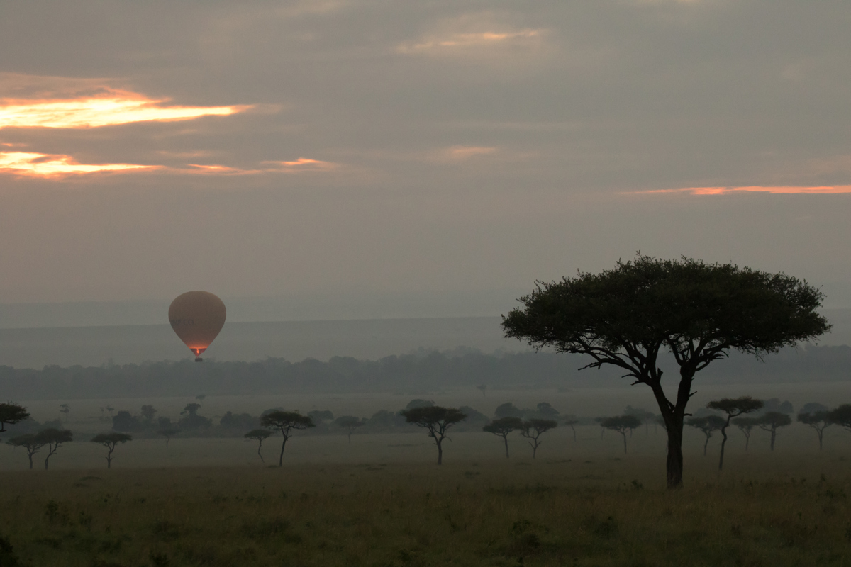Balloon safari in the Masai Mara