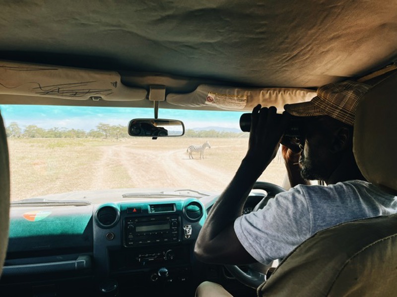 How can I rent a private driver in Kenya?
