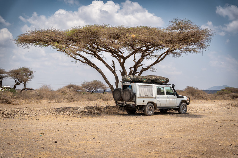 What are Tanzania's national park fees?