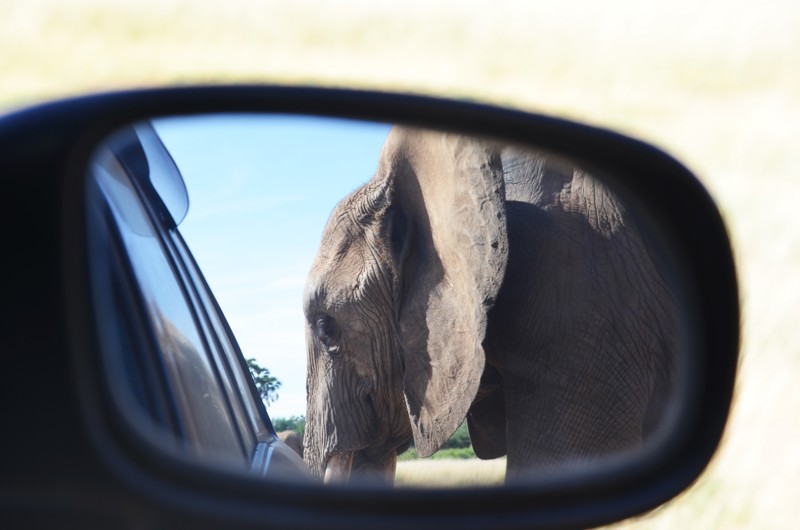 Is it safe to drive in Kenya?