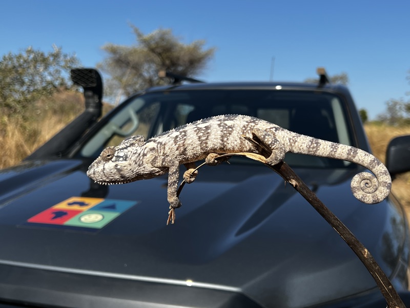 Où puis-je louer une voiture à Madagascar ?