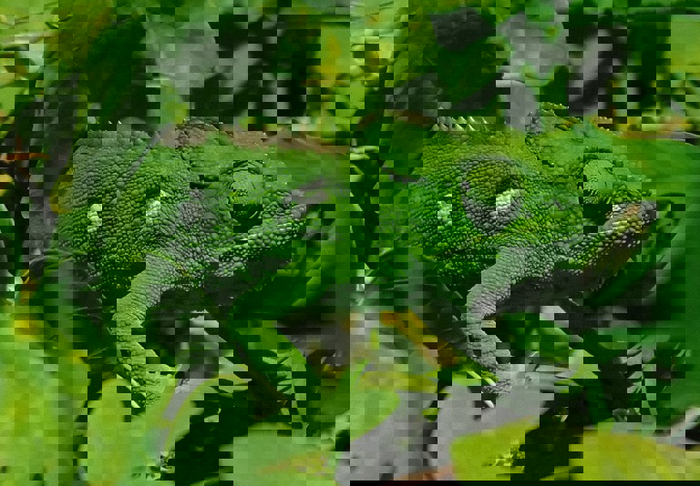 Day 4