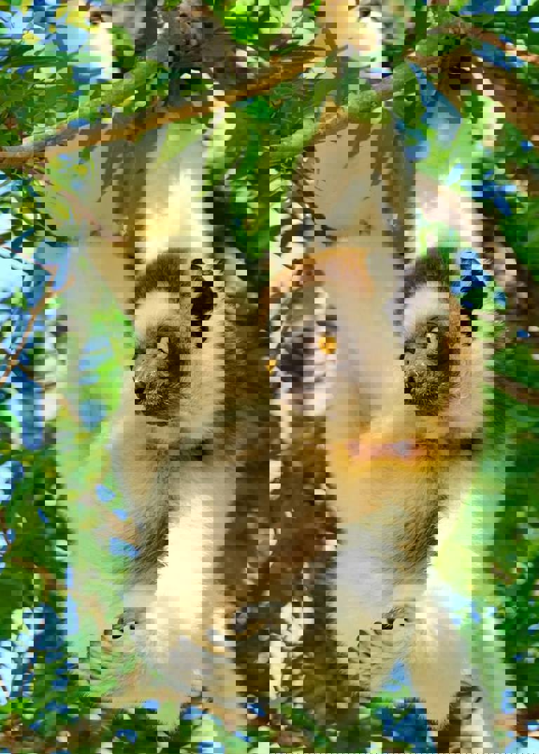 Day 18